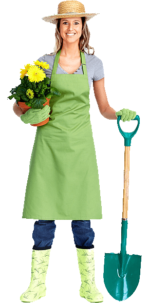 service-left